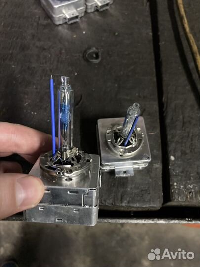 Optima d1s 5000k 35w 1tp long life