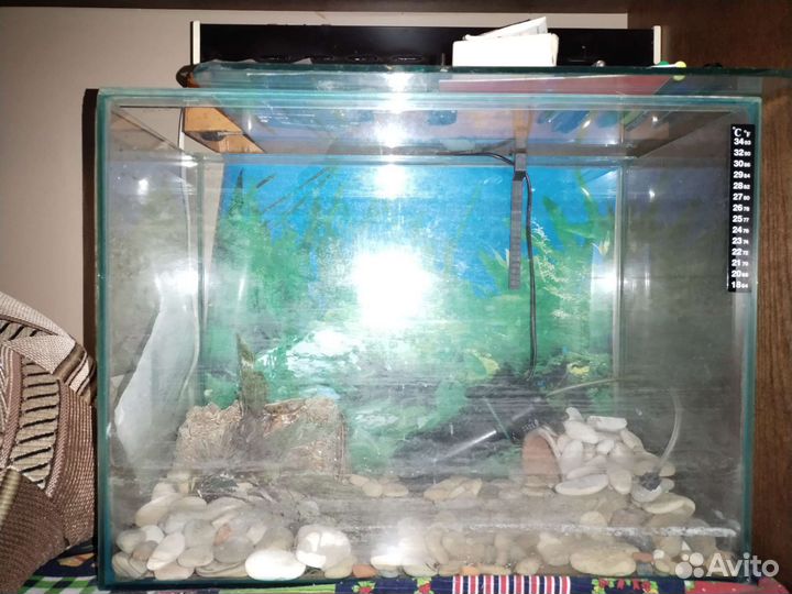 Аквариум на 60 литров, в полной комплектации