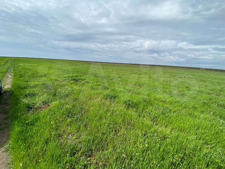 Участок 1,2 га (СНТ, ДНП)