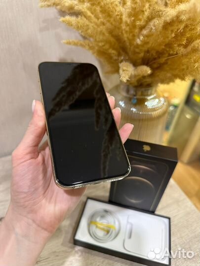 iPhone 12 pro 256