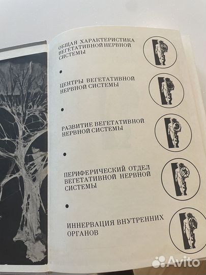 Книга Вегетативная Нервная Система 1988 год