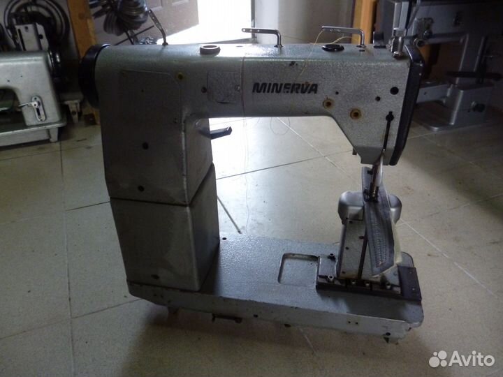 Минерва, minerva