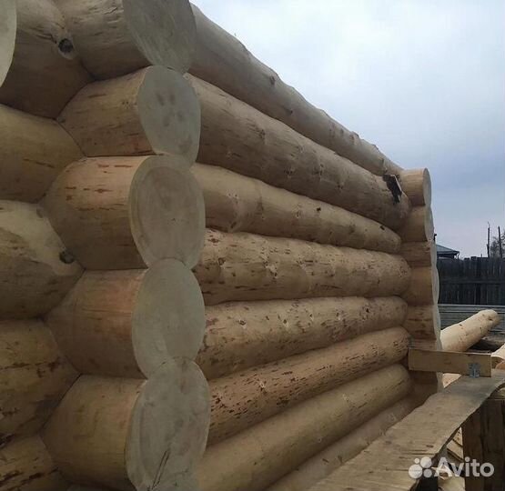 Сруб из бревна