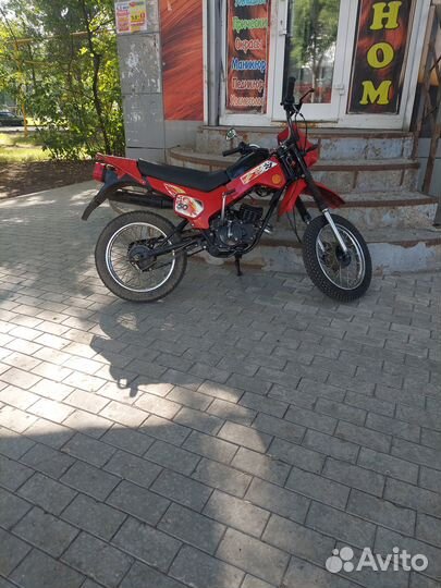 Зид Пилот 50