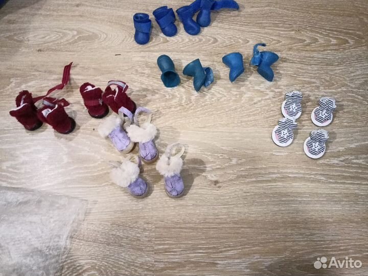 Обувь для маленьких собак