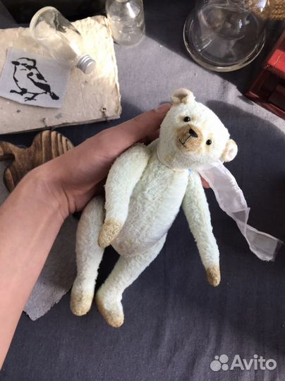 Мятный мишка Тедди