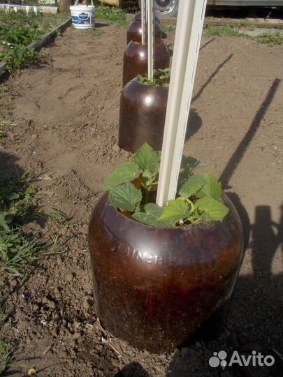 Кега пластиковая 30л