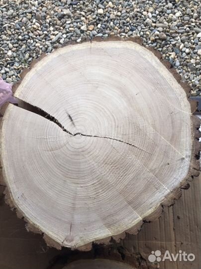 Спилы, слебы торцевые