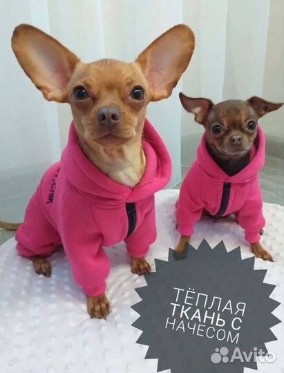 Комбинезон для маленькой собаки