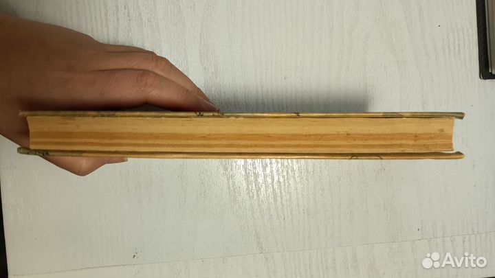 Волшебник изумрудного города. Волков