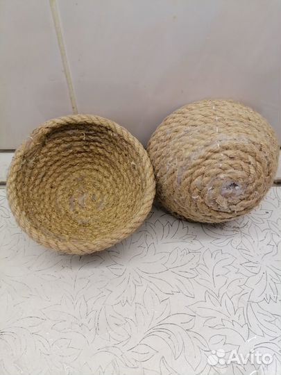 Певчие птицы