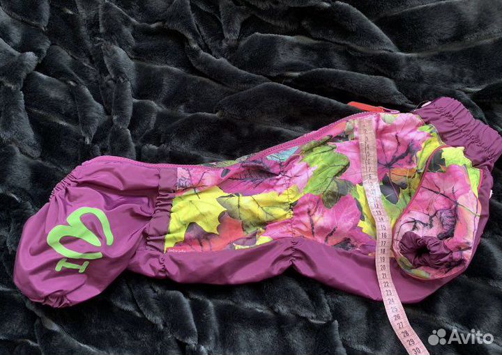 Одежда для собак