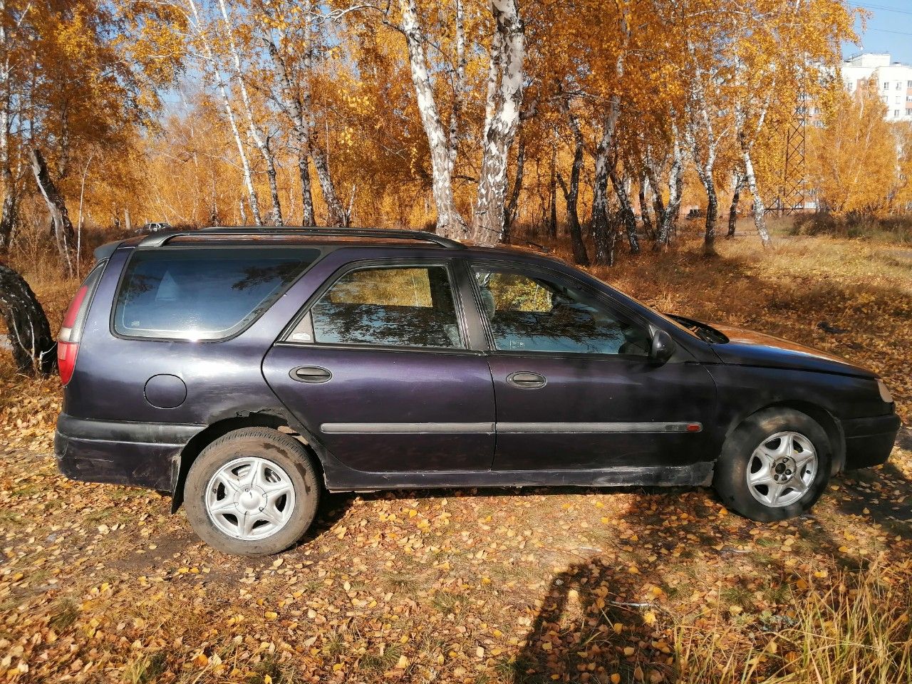 Renault Laguna: фото владельца
