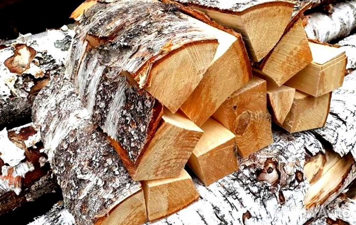 Дрова без муравьев