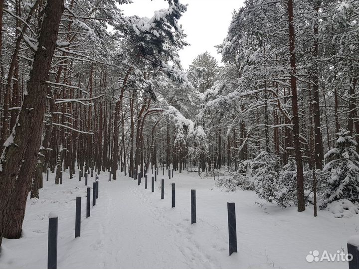 Индивидуальные экскурсии Калининград и область