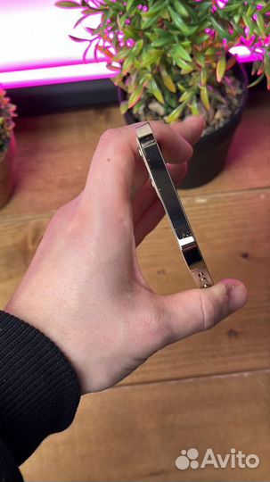 iPhone 12 Pro Max, 256 ГБ