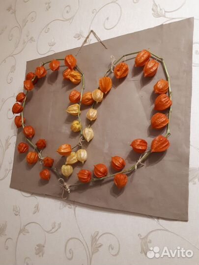 Физалис декоративный. Сердечко. Сухоцвет