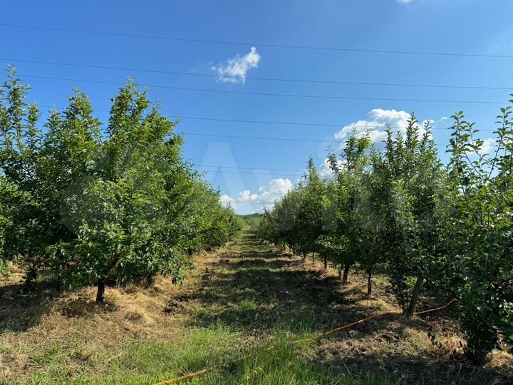 Участок 2,73 га (СНТ, ДНП)