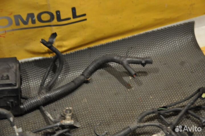 Коса двигателя ford C-MAX C214