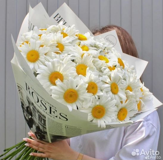 Цветы ромашки