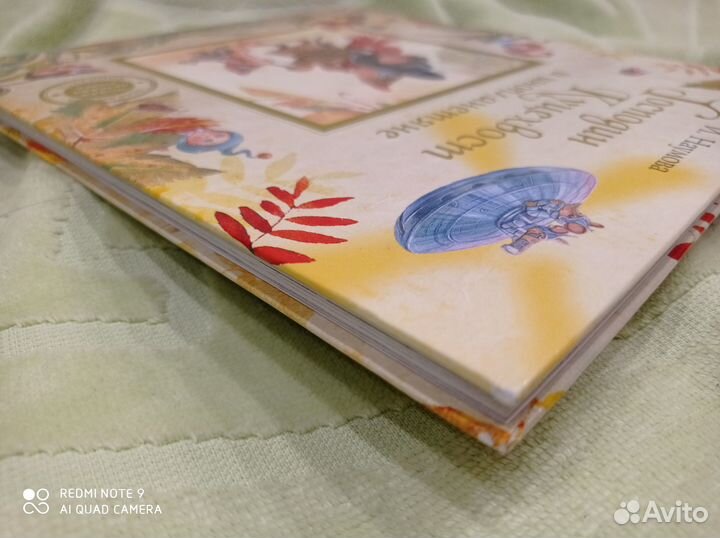 Господин куцехвост И инопланетяне