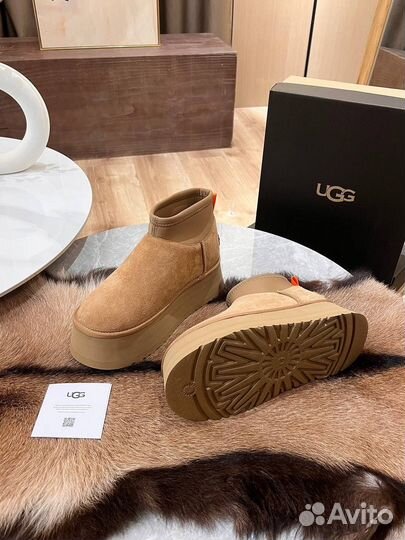 Угги ugg