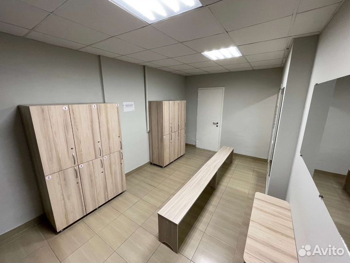 Аренда стола для настольного тенниса