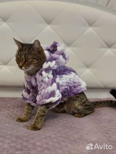 Кофточка на кошек и собак