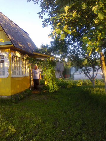 Дачи в вышневолоцком районе. Мстино тверская область. Дуброво-солнечное. Дачи в вышневолоцком районе. Вышний волочёк красномвйский.