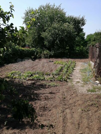 Участок 3 сот. (ИЖС)