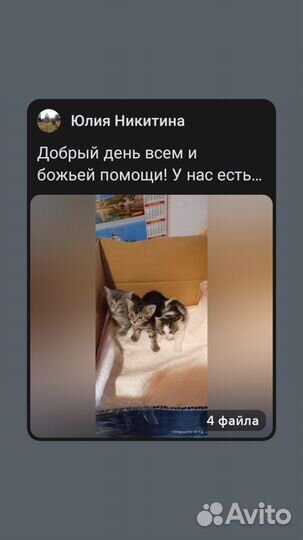Животные