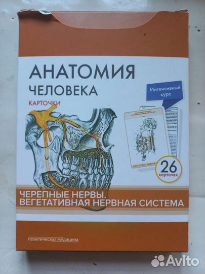 Анатомия человека. Карточки (26 шт)