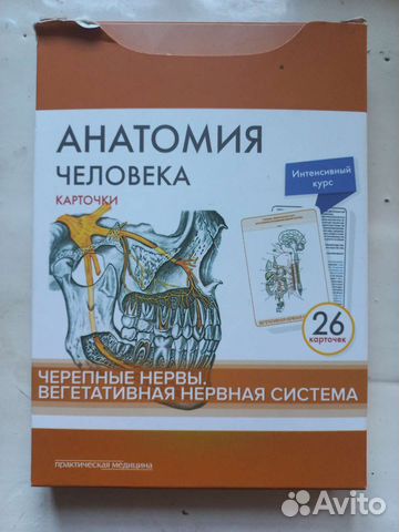 Анатомия человека. Карточки (26 шт)