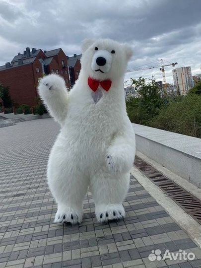 Аниматор на праздник