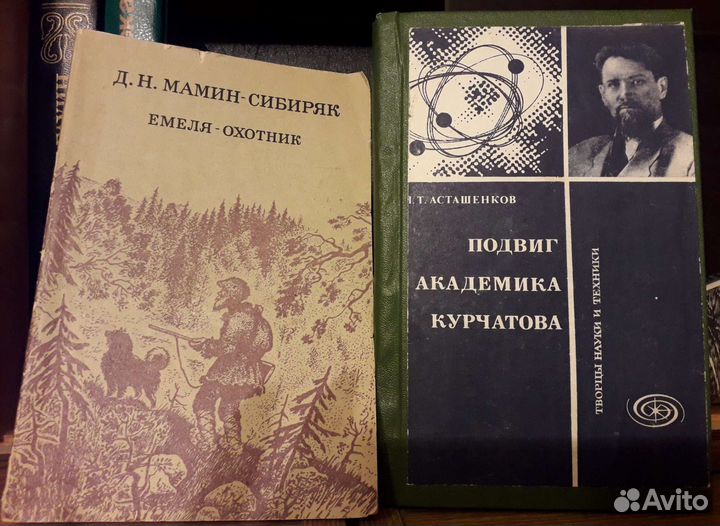 Емеля-охотник мамин-сибиряк. Мамин сибиряк емеля охотник сочинение рассуждение. Мамин сибиряк емеля охотник сочинение рассуждение. Емеля-охотник мамин-сибиряк. Емеля-охотник мамин-сибиряк.