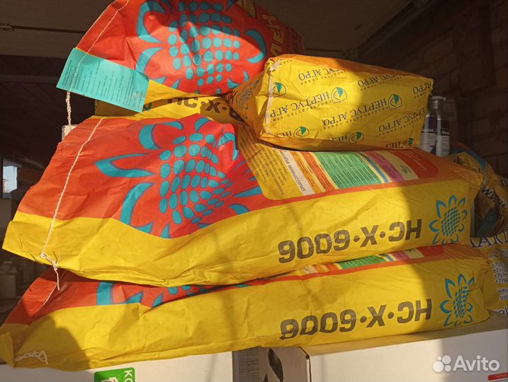 Семена подсолнечника