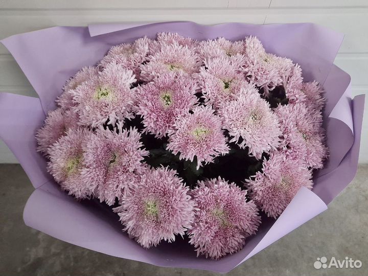 Букет из 19 Хризантем в упаковке