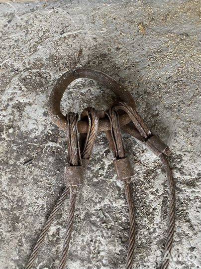 Чалка, Паук