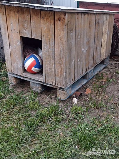 Будка для собаки бу