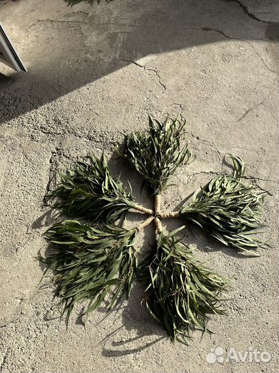 Эвкалипт веники для бани