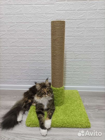 Клетка для птиц попугаев