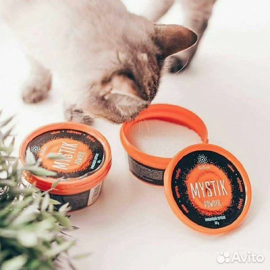 Порошок мистик от Гринвей