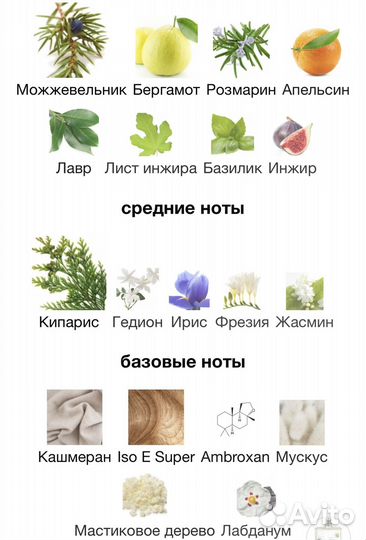 Escentric Molecules Escentric 05
