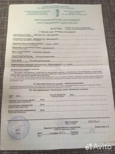 Хурма сушеная Абхазия 2022. Орехи