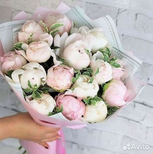 Пионы Букеты Цветы Доставка