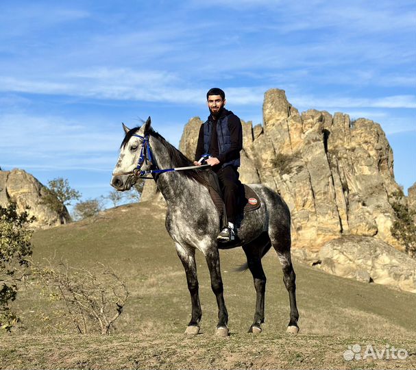 Туры по Дагестану