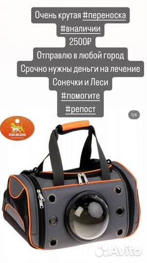 Переноска для кошек новая