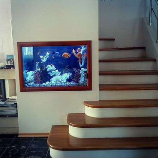 Обслуживание аквариумов