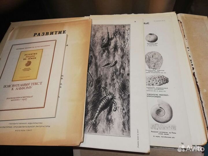 Раритетный альбом наглядных пособий