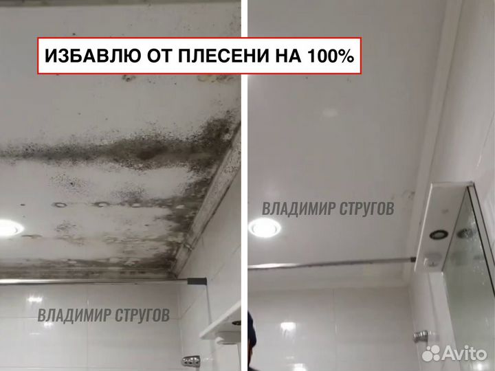 Дезинсекция. Уничтожение клопов. Травля тараканов